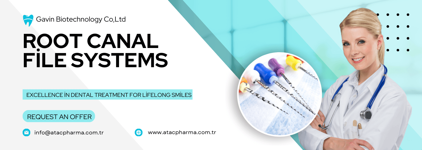 Root Canal File Systems